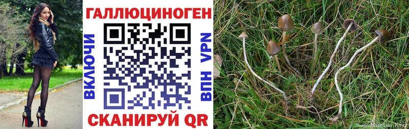 Галлюциногенные грибы Cubensis  Ясный 