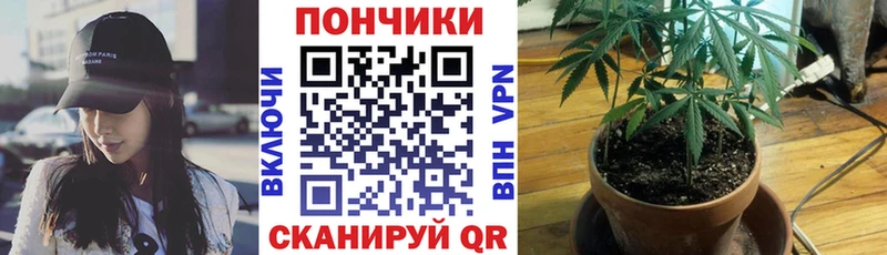 Марихуана план  Ясный 